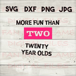 mais divertido do que 2 jovens de 20 anos SVG, DXF, png, jpg, download digital, silhueta, cricut