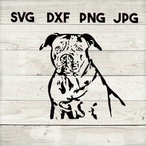 Pitbull 2 SVG, DXF, png, jpg, digital download, silhouette, cricut, glowforge