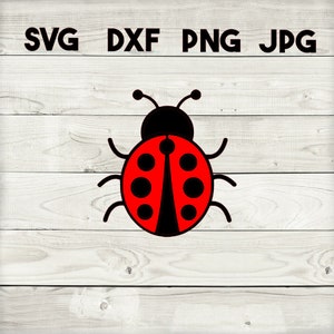 coccinella SVG, DXF, png, jpg, download digitale, silhouette, cricut