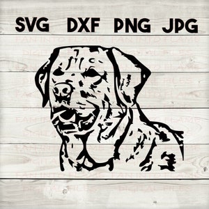 lab 2 SVG, DXF, png, jpg, digitaler Download, Silhouette, Cricut, Glowforge