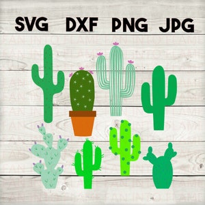 Kaktus Bundle2 SVG, DXF, png, jpg, digitaler download, Silhouette, Cricut, glowforge