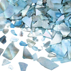 May include: A collection of iridescent, irregularly shaped shell pieces in shades of blue, teal, and white. The fragments vary in size and shape, creating a textured, scattered appearance. Ideal for craft projects or decorative purposes.