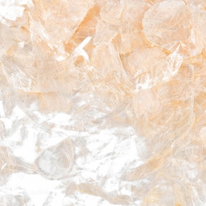 May include: Close-up of a collection of translucent, iridescent shell fragments. The shells have a pearlescent, light peach colour and a delicate, papery texture. The fragments are scattered across a white background.