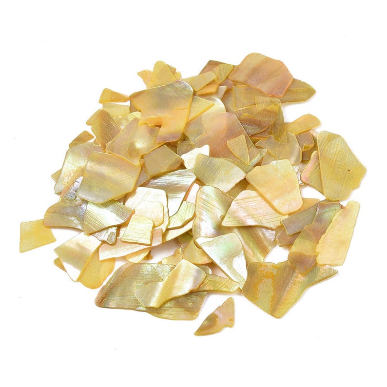 Shell Flakes Gold Abalone Shell Mica Flakes: Resin Craft & Nail Art - Etsy