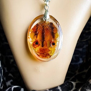 Real Snakeskin Headshed Pendant