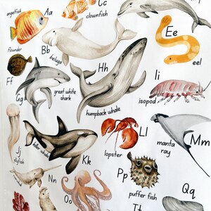 Under the Sea Alphabet Poster Ocean Themed Alphabet Kids Christmas