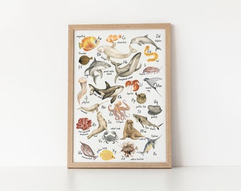 Poster nautico ABC - Poster alfabetico - Ocean Nursery