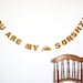 You Are My Sunshine Felt Garland - Boho Nursery Sunshine Banner 