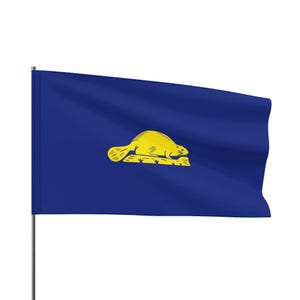 Oregon Flagge