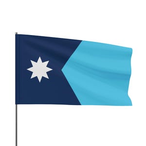 Minnesota State Flag