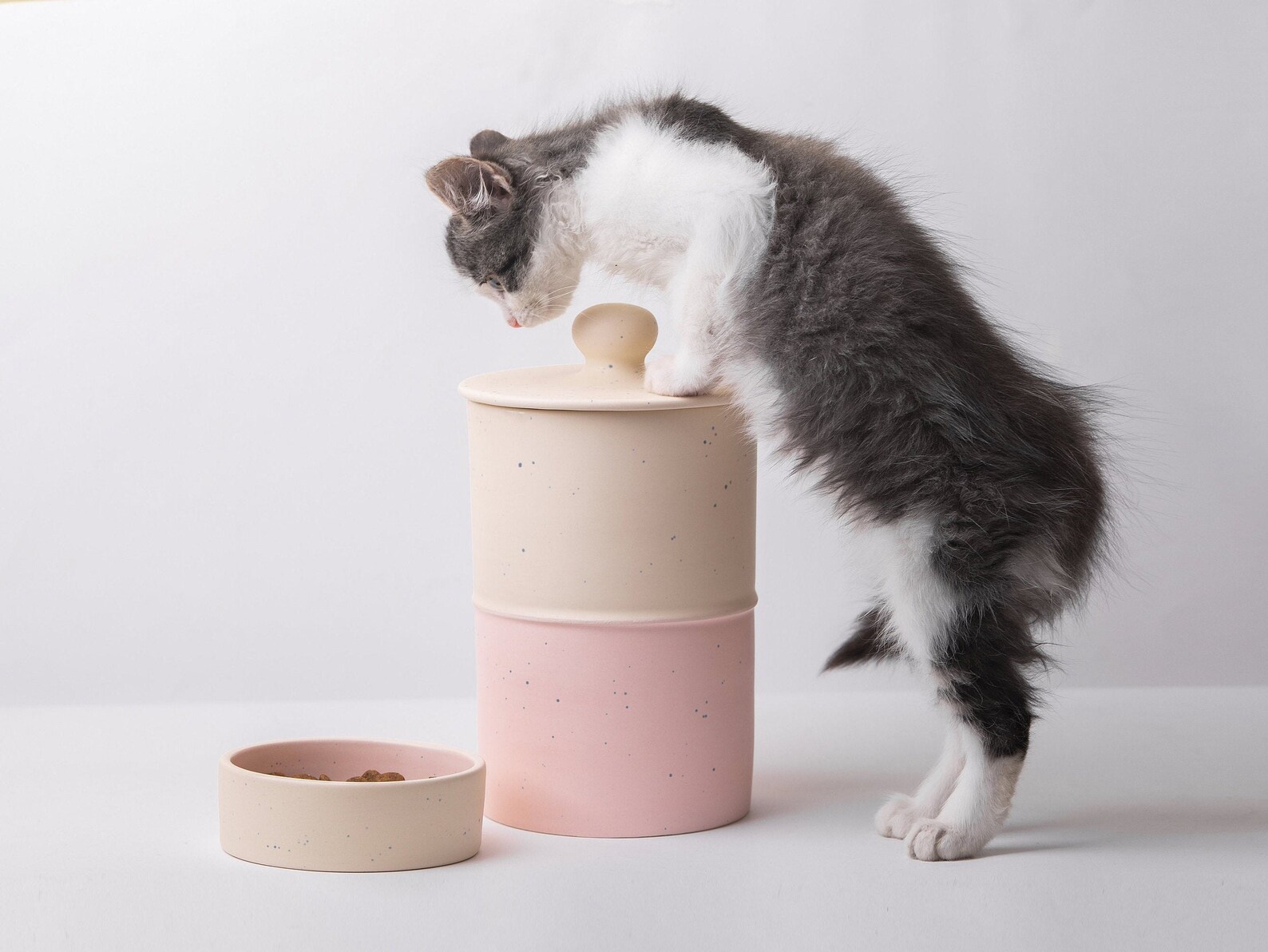Großes Leckerliglas für Hunde Leckerliglas für Hunde Etsy