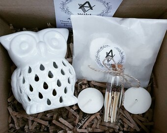 Owl Wax Melt Burner Gift Set: Eco-Friendly Soy Melts