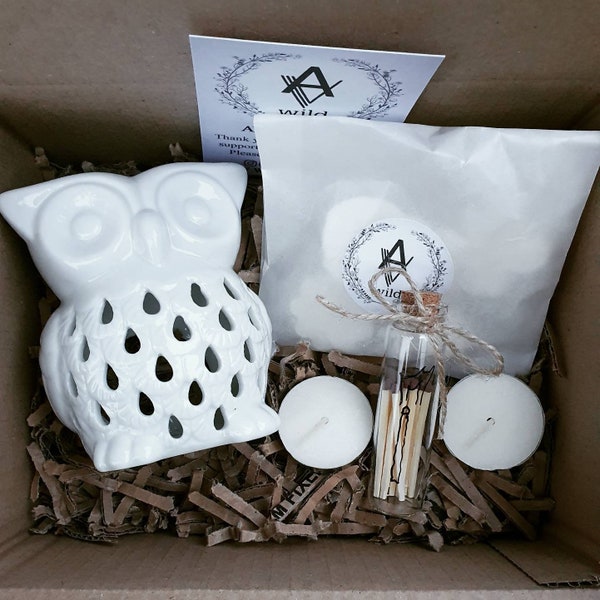 Owl Wax Melt Burner Gift Set: Eco-Friendly Soy Melts