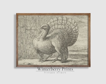 Thanksgiving Printable, Vintage Thanksgiving Turkey Sketch Wall Art, Thanksgiving Decor, Fall Wall Decor, Fall Home Decor,Fall Printable#102