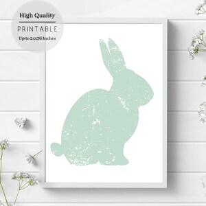 Puede incluir: Una silueta de conejo verde claro con textura desgastada. La imagen est&aacute; en un marco blanco sobre un fondo de madera blanca.