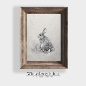 Easter Printable-Vintage Rabbit Sketch-Vintage Easter prints-Antique Wall Art-Spring Art-Printable Wall Art- Instant Download-254