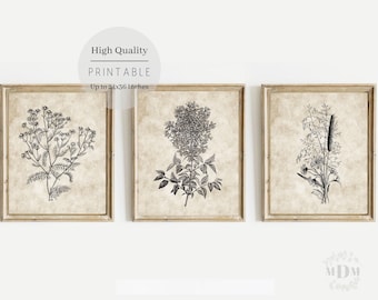 Spring Printable Wall Art,Set Of Three,Farmhouse Spring Print,Spring Home Decor,Vintage Spring Flowers,Botanical Prints,Digital Download art