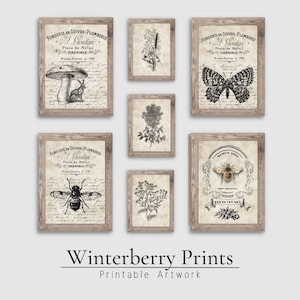 May include: Set of eight black and white printable art prints featuring vintage botanical illustrations and insects. The prints are framed in a rustic wood frame. The prints include a butterfly, a bee, a mushroom, a dragonfly, and various flowers.