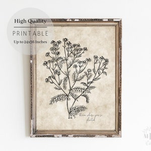 Spring Printable Wall Art,Daisy Wall Art,Farmhouse Spring Print,Spring Home Decor,Vintage Spring Flowers,Botanical Prints,Digital Download