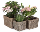 Square Wicker Planters Baskets For Indoor Or Outdoor Use