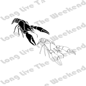 Crawfish SVG, Crawdad SVG, Crawfish Boil Image, Crawdad Cut File , Aragosta , Design 2 Disegni! , File Crawfish per Cricut, Svg, Eps, Dxf