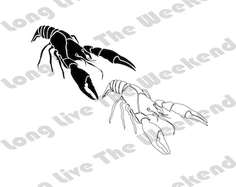 Crawfish SVG, Crawdad SVG, Crawfish Boil Image, Crawdad Cut File , Lobster , Design 2 Designs! , Crawfish file for Cricut, Svg, Eps, Dxf