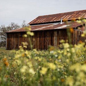 Barn Photography &quot;Spring Barn&quot;