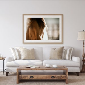 Horse Photography Fine Are Print Contemplation image 2