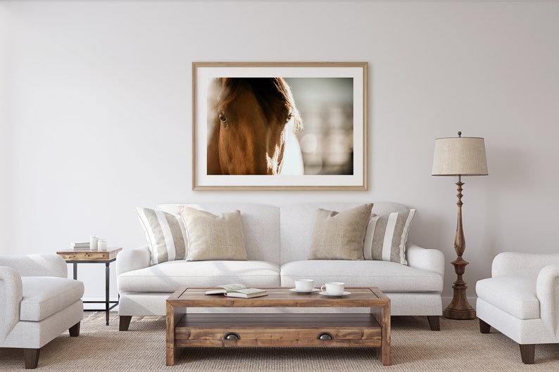 Horse Photography Fine Are Print Contemplation image 2