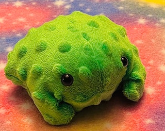 Baby Bean Bag Frog Plush, Soft Fluffy Frog Stuffed Animal, Weighted Frog Plushie with Plastic Pellets, Fidget, Frog Bean Bag, Squishy Friend