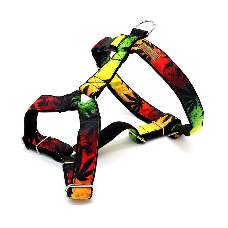 Handmade dog harness guard soft neoprene padded KenDog waterproof polyester Reggae