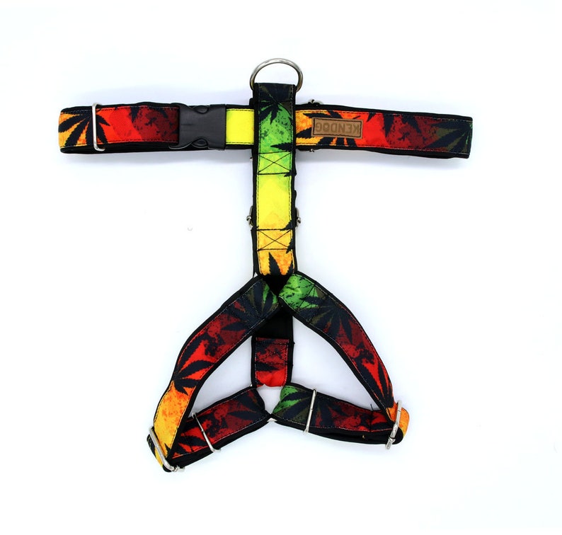 Handmade dog harness guard soft neoprene padded KenDog waterproof polyester Reggae
