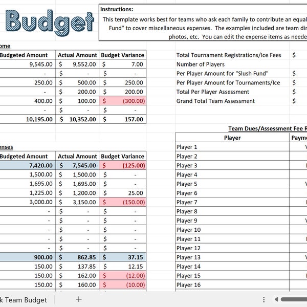 Youth Sports Team Budget Spreadsheet, Team Manager Budget Template, Excel Template, Sports Team Manager Spreadsheet, Team Manager Template