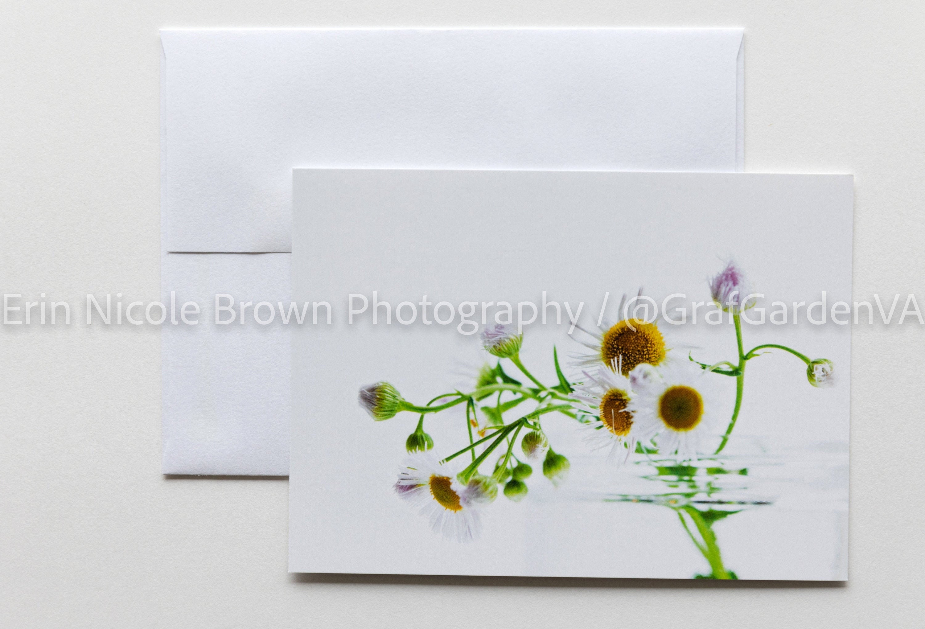 Set Of Five FLOWER THEMED HaynesBesco Note Cards W/ Stickers *FREE SHIPPING* 