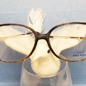 New Large Eccentric CHARMANT Eyeglasses Blackish/Grayish Tortoise (Translucent) w/ Silver Temples and Black Temple Tips ~ Japan ~ SALE!