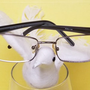 Puede incluir: Un par de gafas de lectura rectangulares plateadas con patillas negras. Las gafas descansan sobre un objeto blanco con plumas en un vaso transparente.