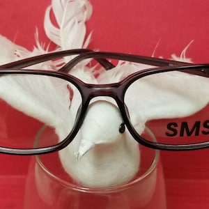 Puede incluir: Gafas con montura negra y lentes transparentes. La palabra "SMS" está impresa en la lente derecha.