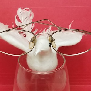 Puede incluir: Un pájaro blanco con plumas que lleva gafas de montura plateada, posado en un vaso transparente. El pájaro está sentado sobre un fondo rojo.