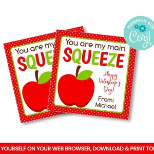 EDITABLE Fruit Squeeze Pouch Square Tags, Apple Sauce Treat Tags Ideas, Valentine Self Editing Favors, Happy Valentine's Day INSTANT ACCESS image 1