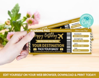 EDITABLE Airplane Surprise Ticket, Boarding Pass, Flight, Plane Happpy Birthday Self Editing Airline Voucher, Digital File INSTANT ACCESS