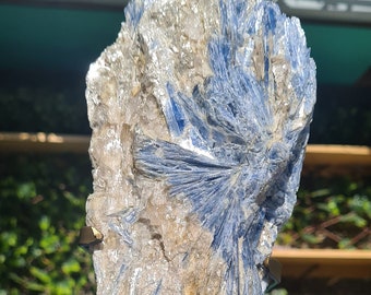 Blue Kyanite on gold custom made stand