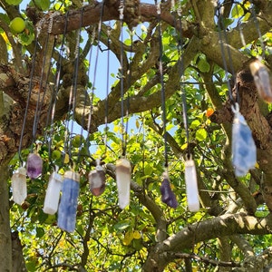 May include: A collection of crystal pendants hanging from a tree branch. The pendants are made of clear, amethyst, and blue crystals. The crystals are suspended from black cords.