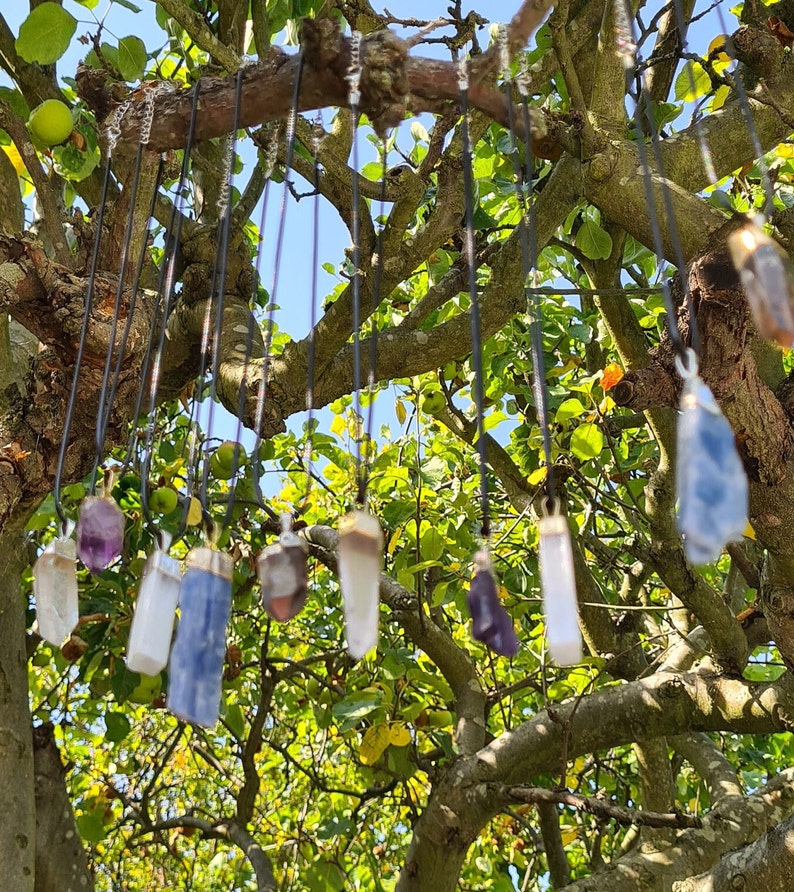 May include: A collection of crystal pendants hanging from a tree branch. The pendants are made of clear, amethyst, and blue crystals. The crystals are suspended from black cords.