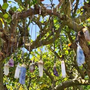 Puede incluir: Una colecci&oacute;n de colgantes de cristal colgando de una rama de &aacute;rbol. Los colgantes est&aacute;n hechos de varios tipos de cristales, incluyendo cuarzo transparente, amatista y &aacute;gata azul. Los cristales son de diferentes formas y tama&ntilde;os, y est&aacute;n encordados en cordones negros.