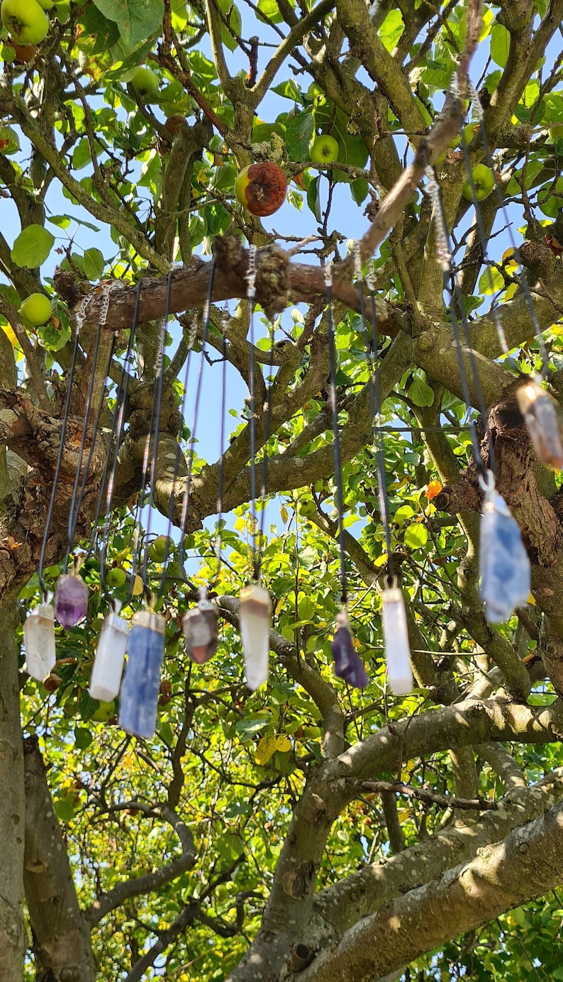 Puede incluir: Una colecci&oacute;n de colgantes de cristal colgando de una rama de &aacute;rbol. Los colgantes est&aacute;n hechos de varios tipos de cristales, incluyendo cuarzo transparente, amatista y &aacute;gata azul. Los cristales son de diferentes formas y tama&ntilde;os, y est&aacute;n encordados en cordones negros.
