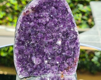 Amethyst CutBase From Uruguay High grade self standing Druzy crystal decor raw amethyst