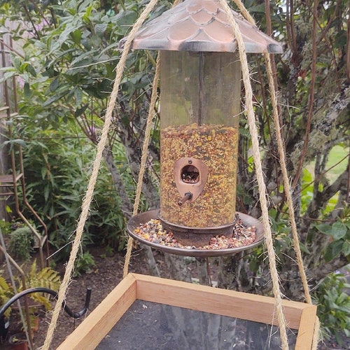 bird feeder with tray under