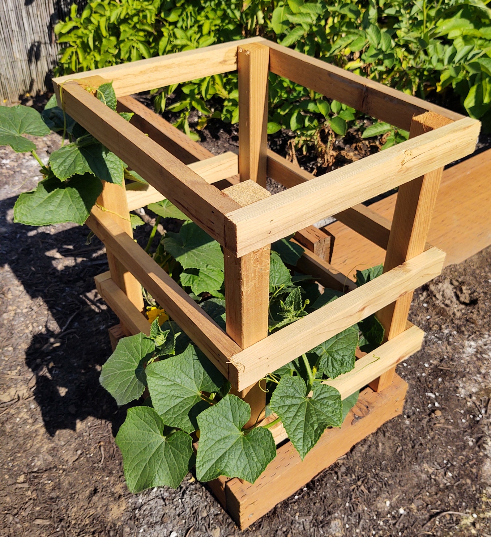 Cedar Plant Cage Garden Trellis Great for all climbing or Etsy