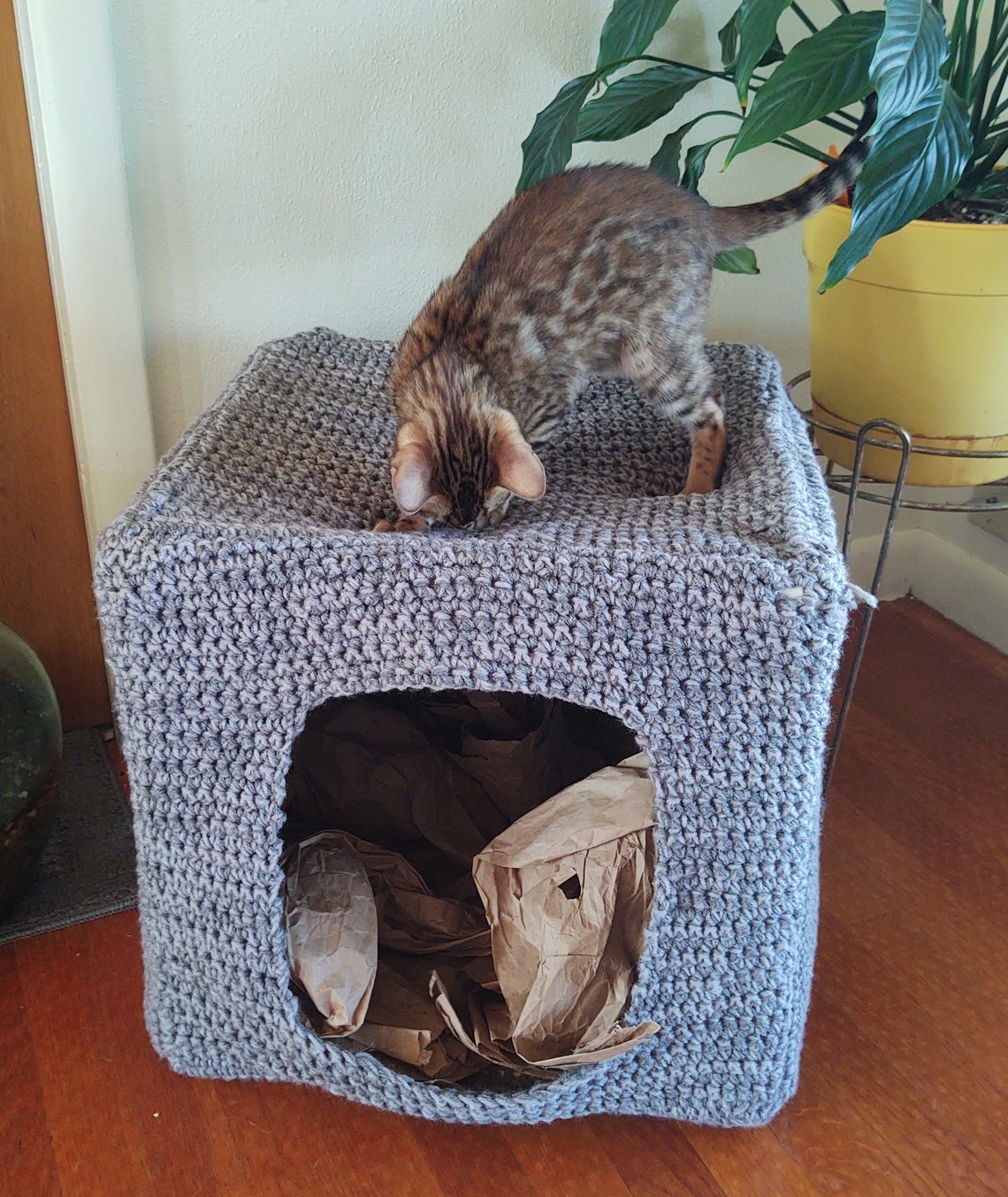 Active Cat Play & Hideout Hut Cat Cube Play Hut Pet Bed Etsy