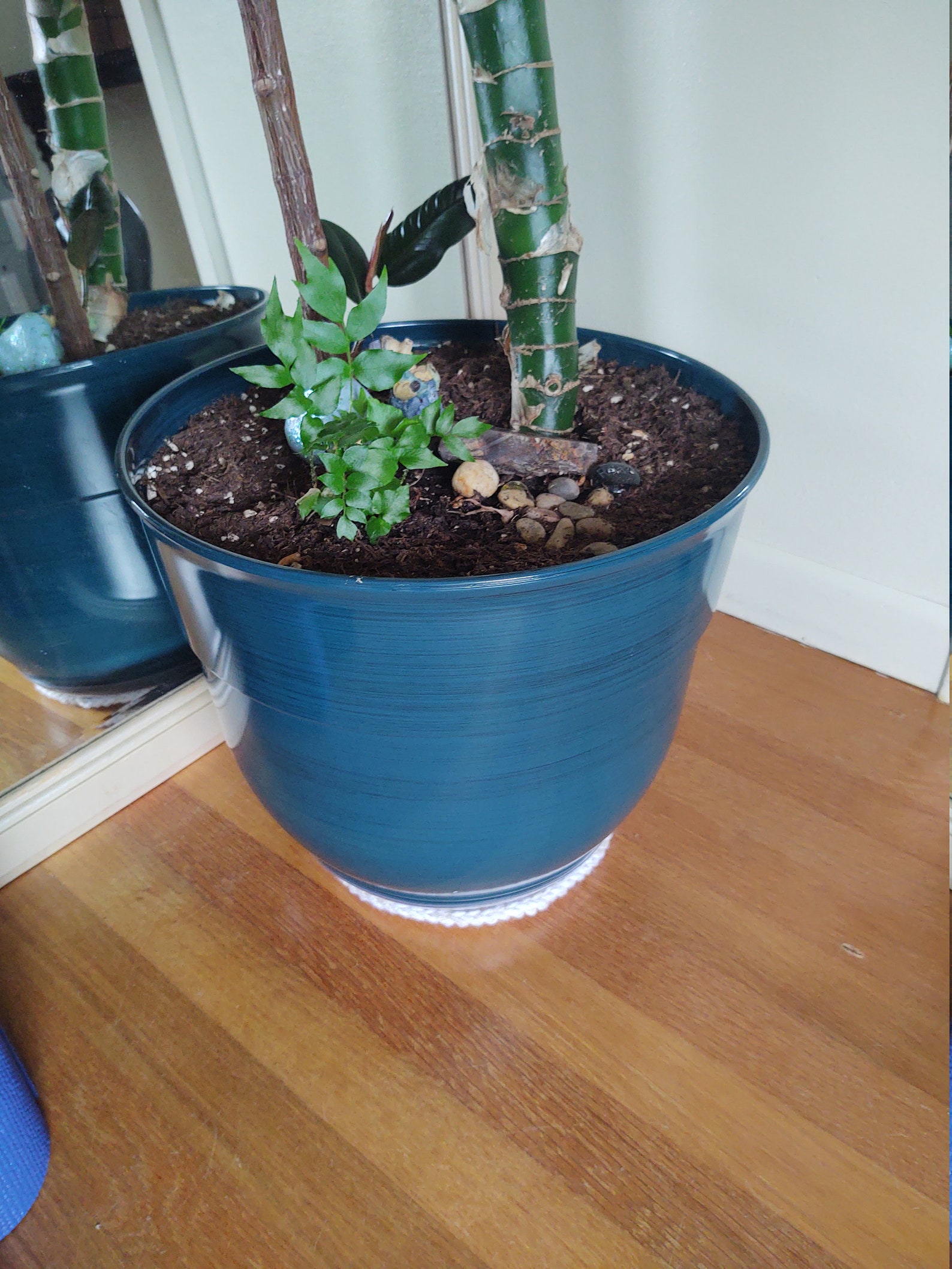 Vintage Inspired Planter Pot Socks and Booties Etsy